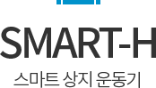 SMART-H